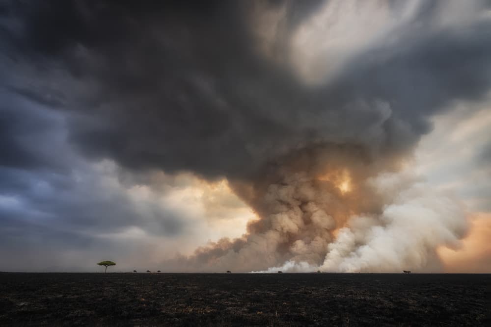Smoke Across the Savanna by Roberto Marchegiani — canvas wall art