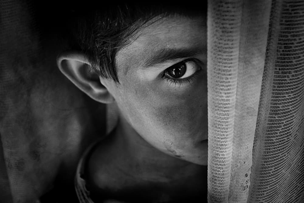 Curious Boy Behind Curtain by Emine Basa — canvas wall art