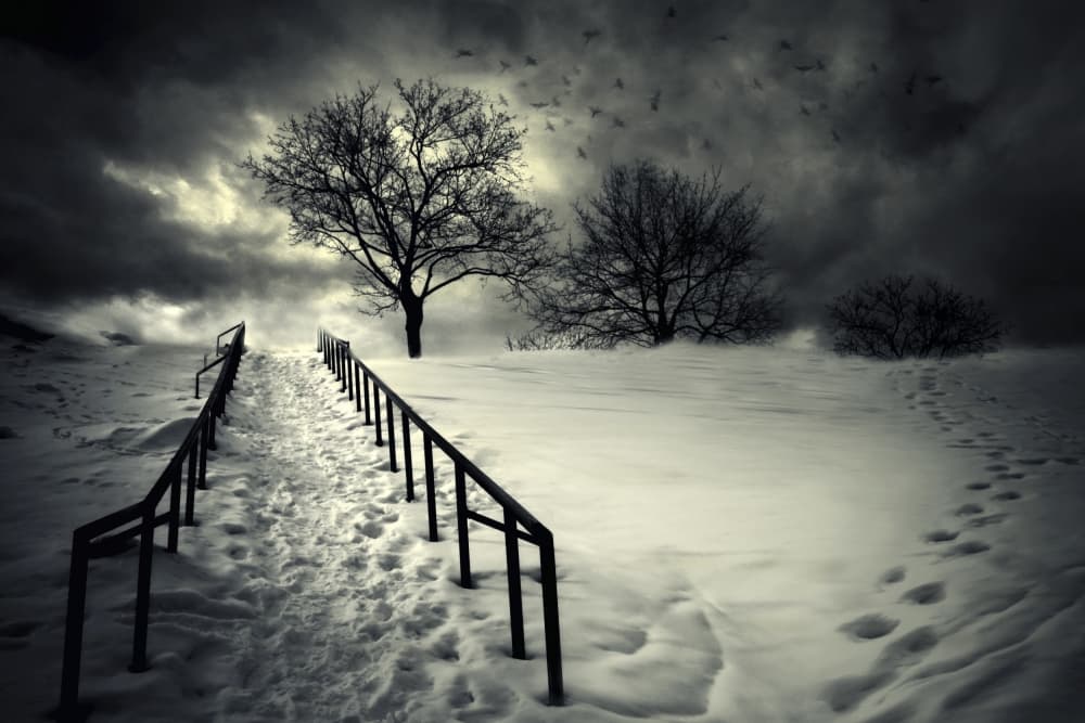 Dark Winter Path by David Senechal Photographie (polydactyle) — canvas wall art
