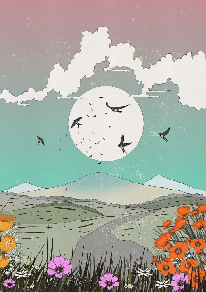 Swallows Over Mountain Road by Nicholas — canvas wall art