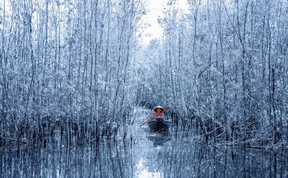 Blue Forest Boat Ride by Nguyen Tan Tuan — canvas wall art