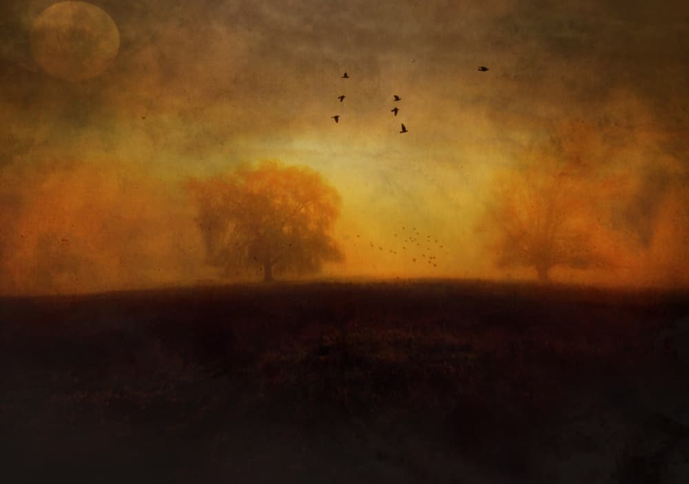 Dreamy Moonlit Flight by Robert Fabrowski — canvas wall art