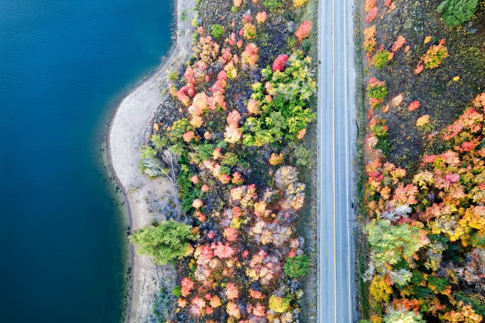 Autumn Road Lake by Amanda Abel — canvas wall art