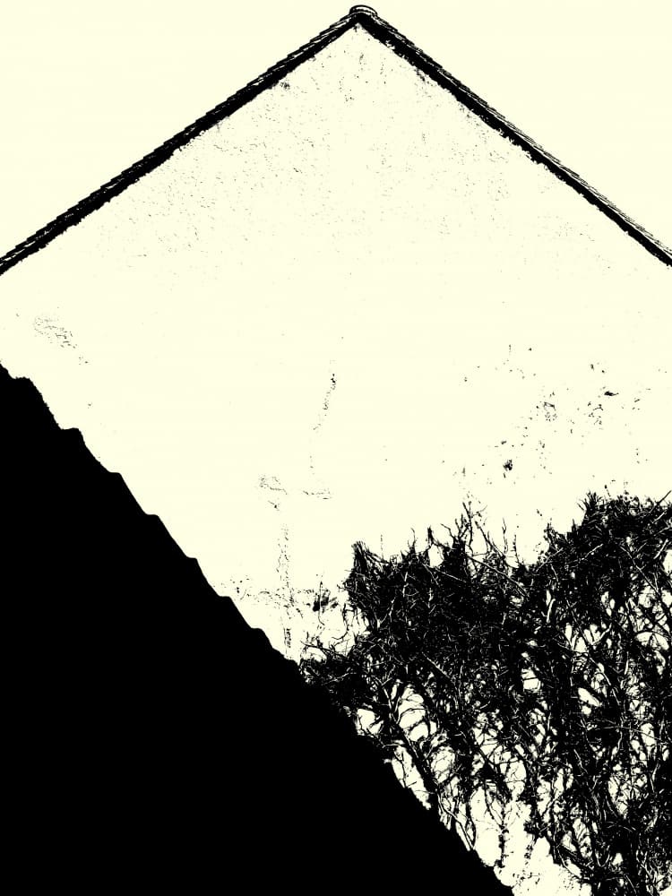 Stark Architecture and Foliage by Petr Strnad — canvas wall art