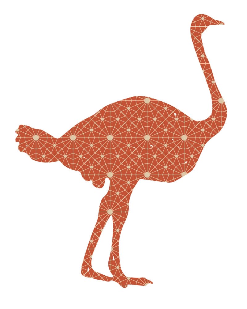 Geometric Ostrich Silhouette by Emiliano Deificus — canvas wall art
