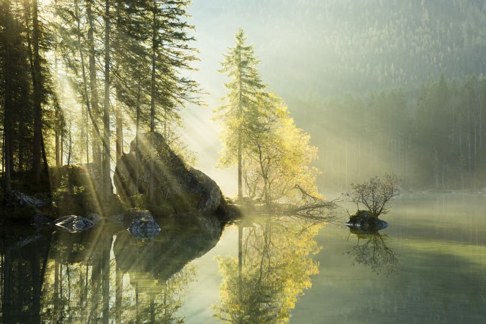 God Rays by Stefan Hefele — canvas wall art