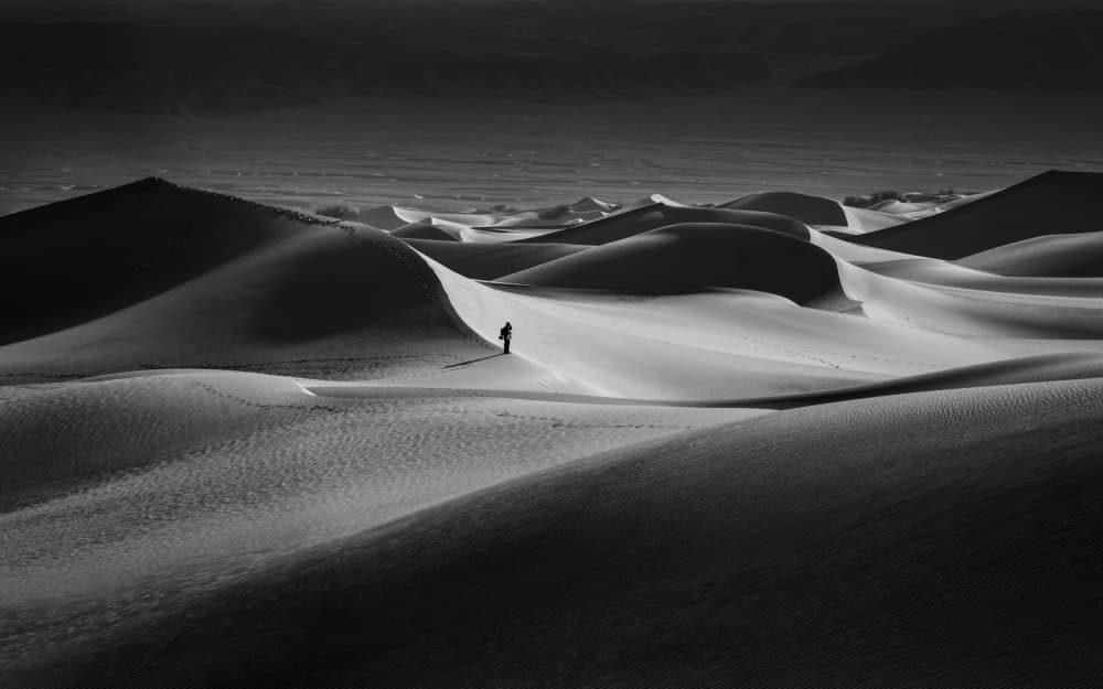 Monochrome Desert Walk by Catherine Lu — canvas wall art