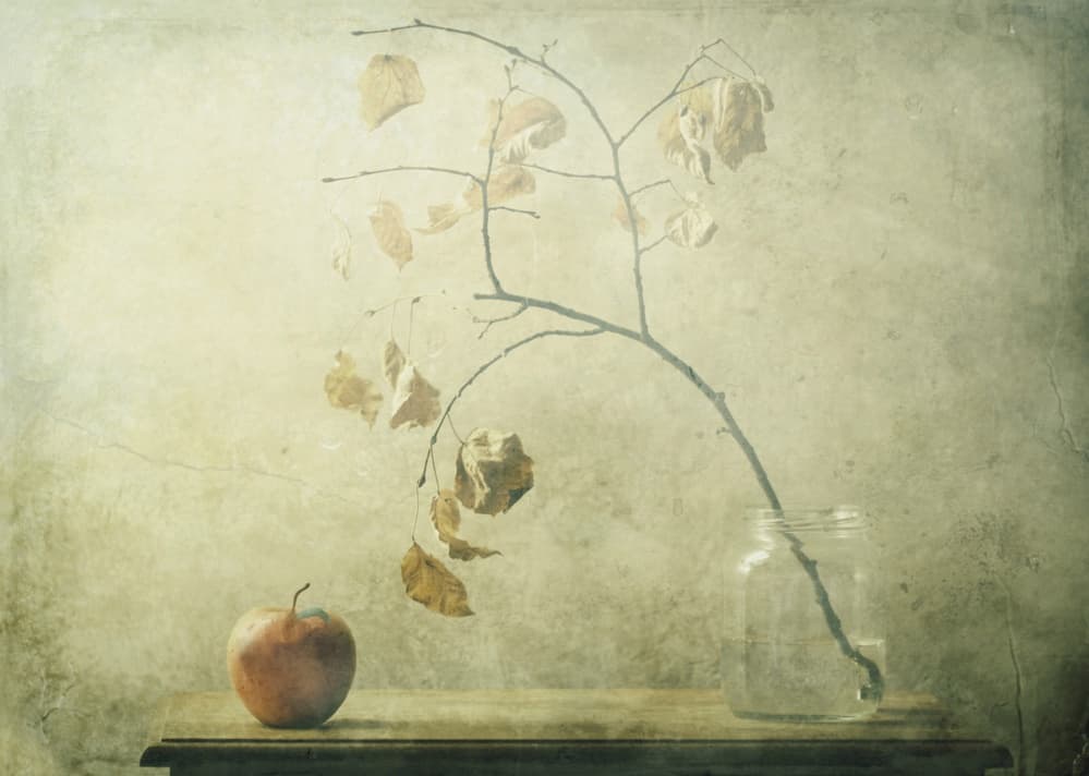 Autumn Still Life by Delphine Devos — canvas wall art