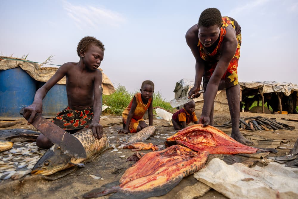 Daily Fish Preparation by Amihay Shraga — canvas wall art