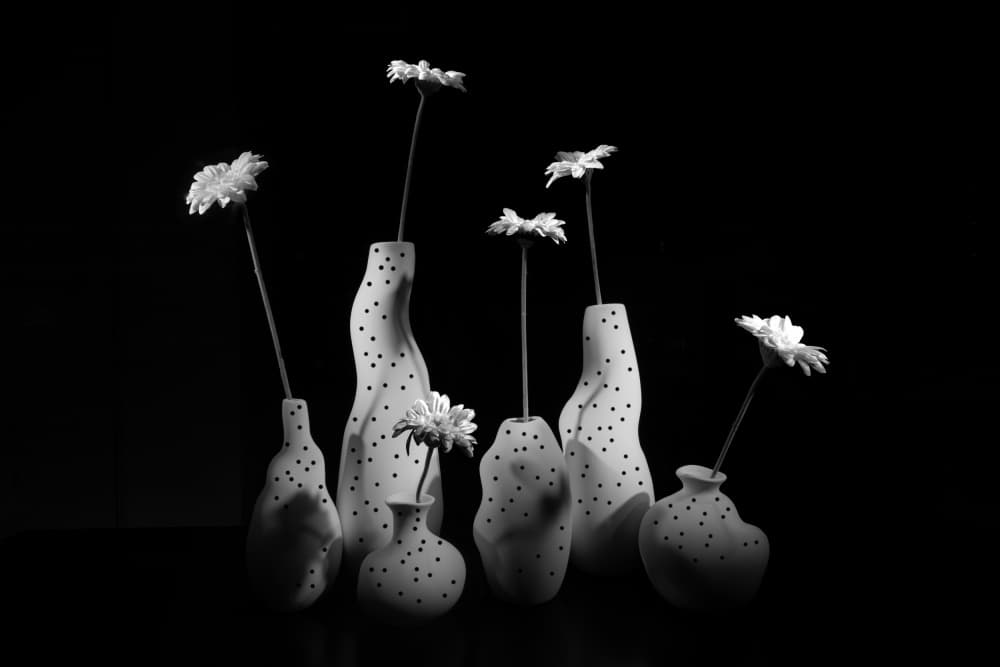 Polka Dot Daisy Vases by Keisuke Togawa — canvas wall art