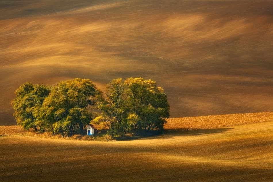 Golden Fields Chapel by Krzysztof Browko — canvas wall art