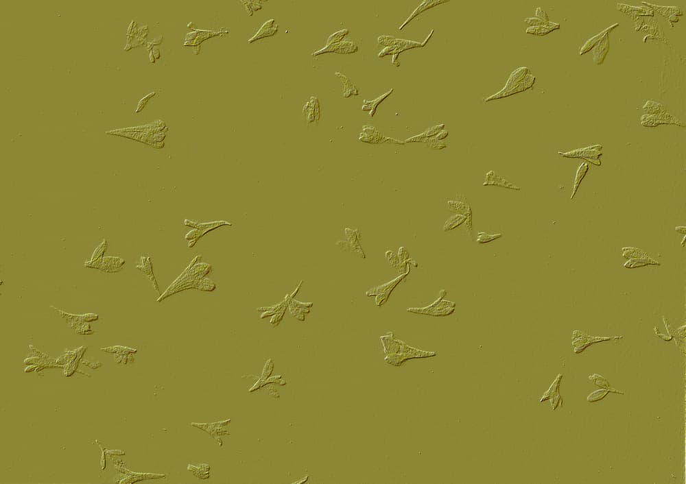 Subtle Organic Shapes by Santhosh ch — canvas wall art