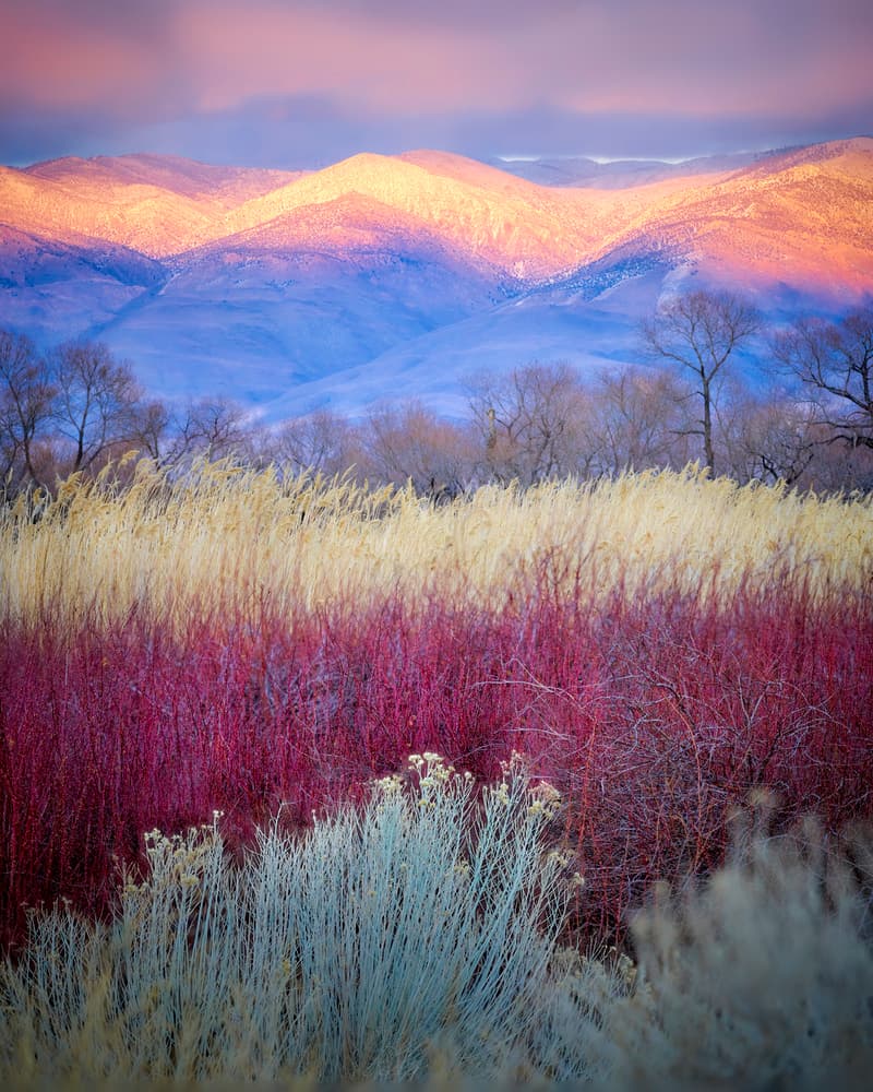 Vibrant Mountain Fields by Kirbyturnage — canvas wall art
