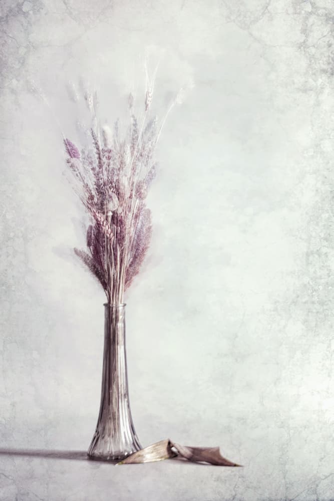 Ethereal Lavender Still Life by Cicek Kiral — canvas wall art