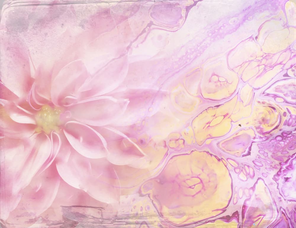 Pink Dahlia Dream by Rafal Kulik — canvas wall art