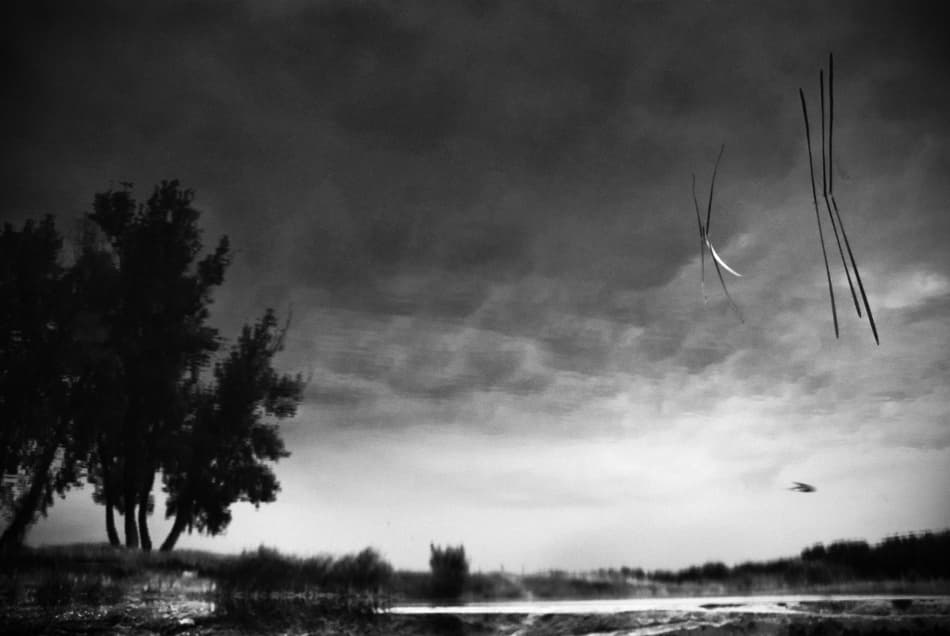 Moody Lake Reflection by Codrin Lupei — canvas wall art
