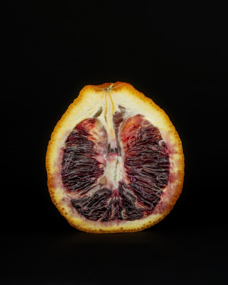 Dark Blood Orange by Lynann Colligan — canvas wall art
