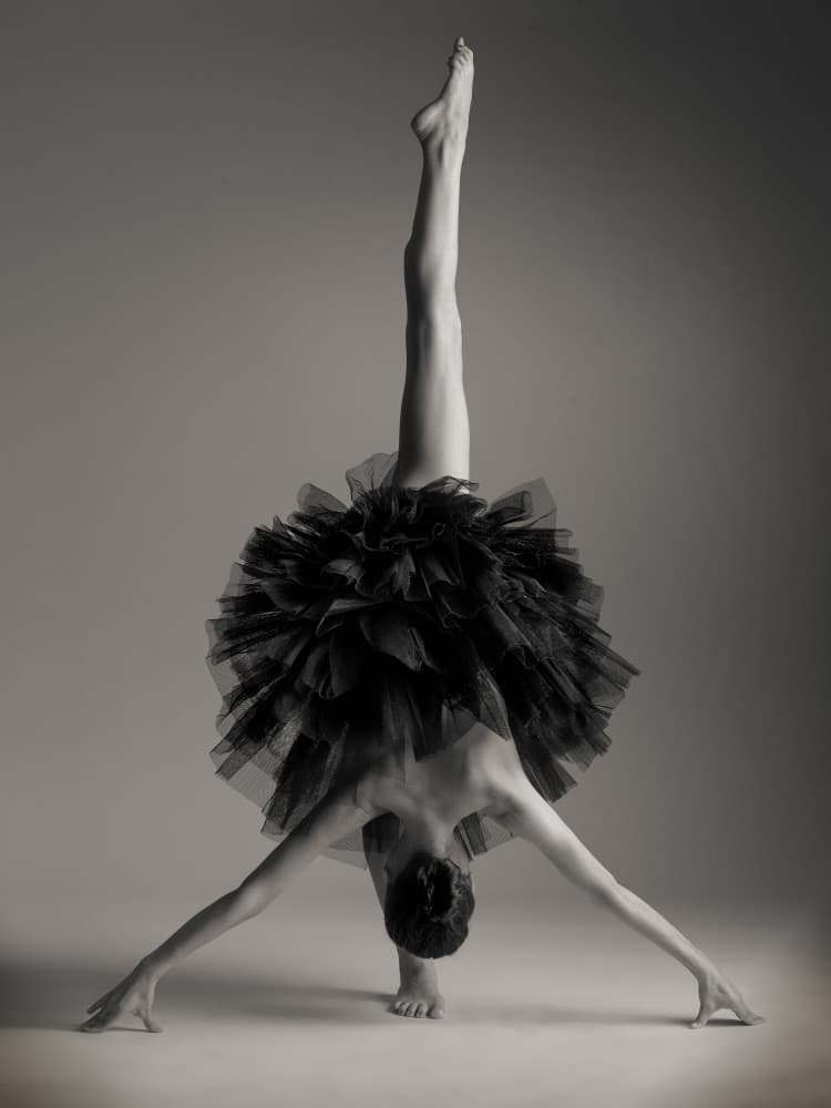 Elegant Black Tutu Dance by Gerhard Beer — canvas wall art