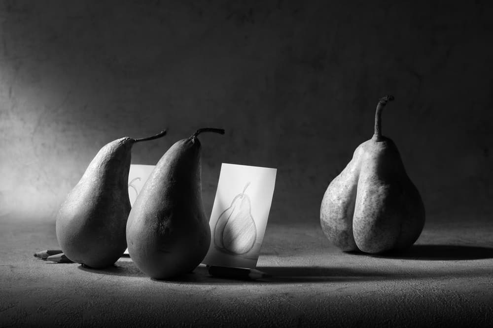 Pears Drawing Still Life by Victoria Glinka — canvas wall art