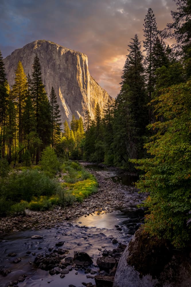 El Capitan Golden Glow by Lisa Aurora Campbell — canvas wall art