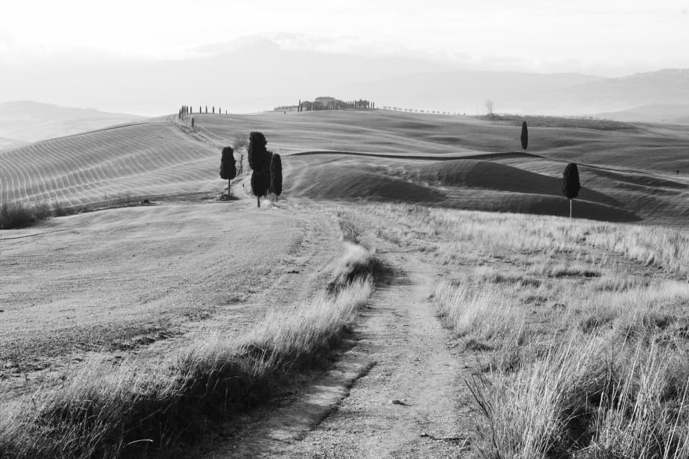 Tuscan Country Path by Stefano Castoldi — canvas wall art