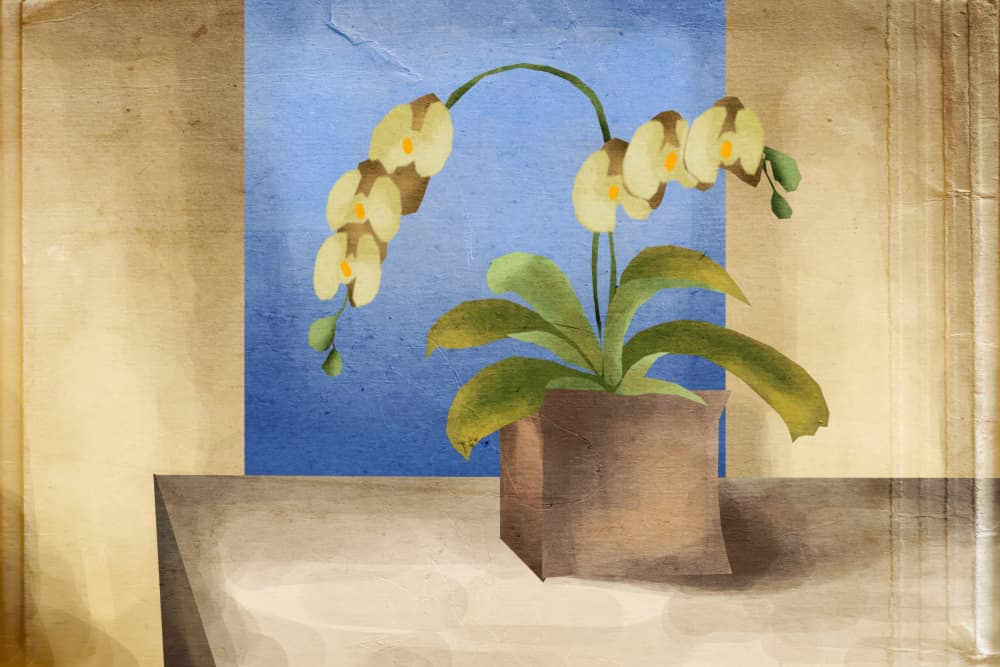 Vintage Orchid Still Life by Rafal Kulik — canvas wall art