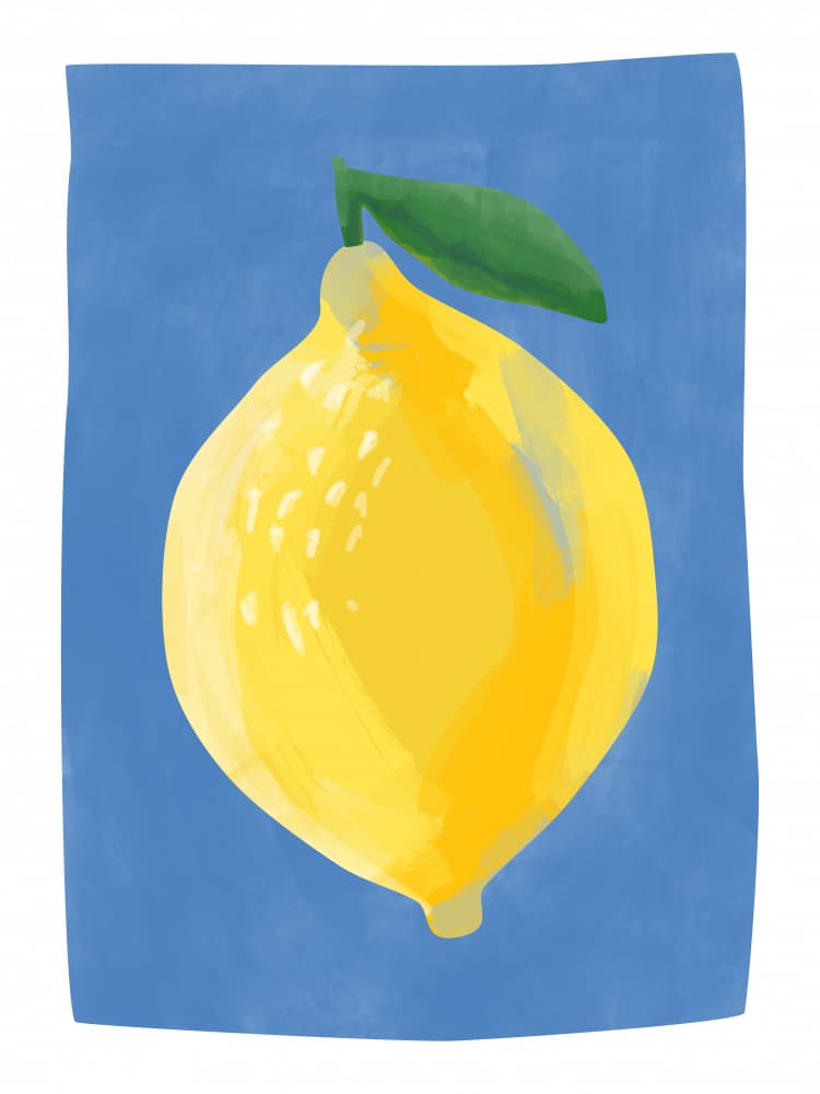 Bright Yellow Lemon by Elena Ristova — canvas wall art