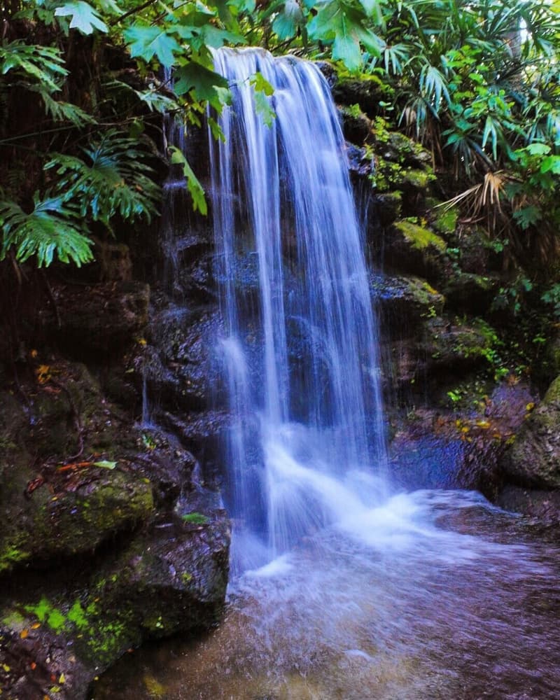 Serene Jungle Waterfall by Del Mundo Portraits — canvas wall art