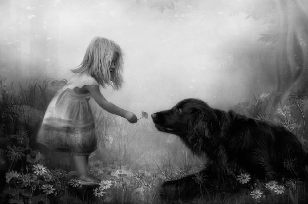 Innocent Friendship by Charlaine Gerber — canvas wall art
