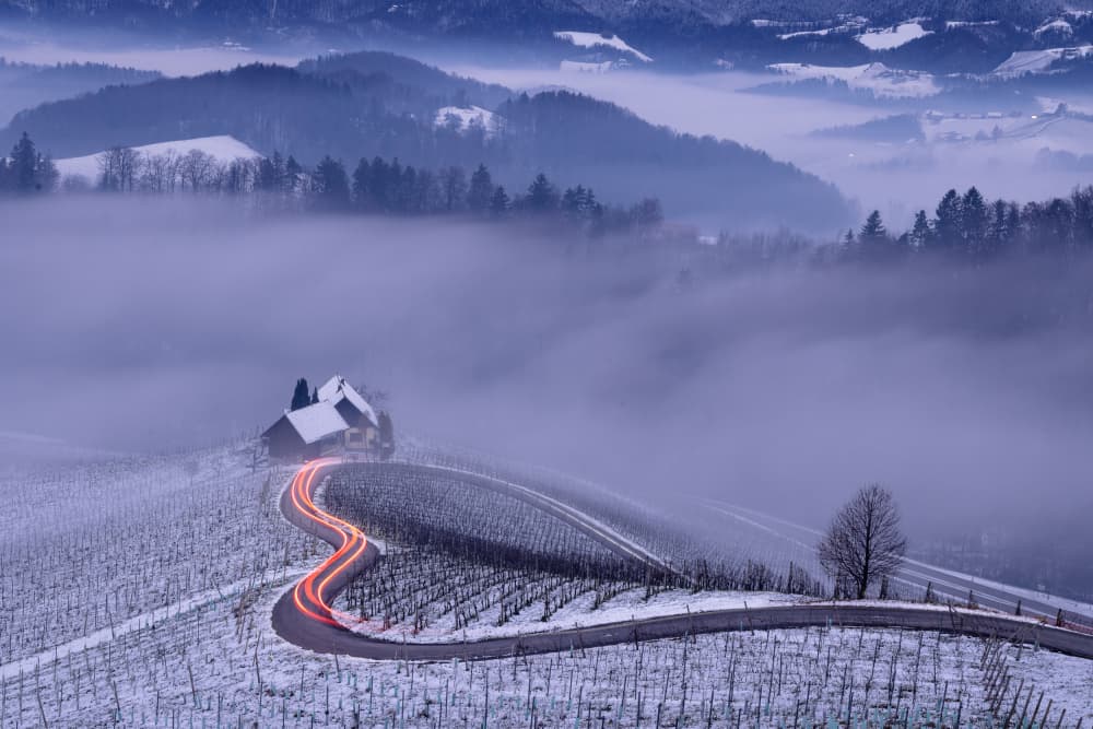Winter Road Light Trails by Dan Mirica — canvas wall art
