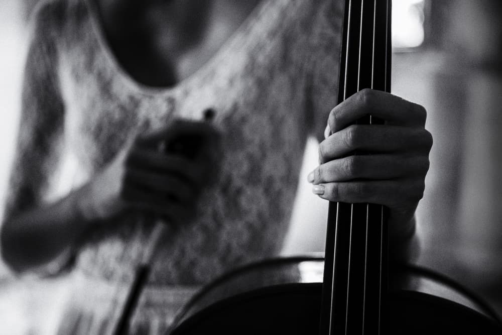 Elegant Cello Player by Roswitha Schleicher-Schwarz — canvas wall art