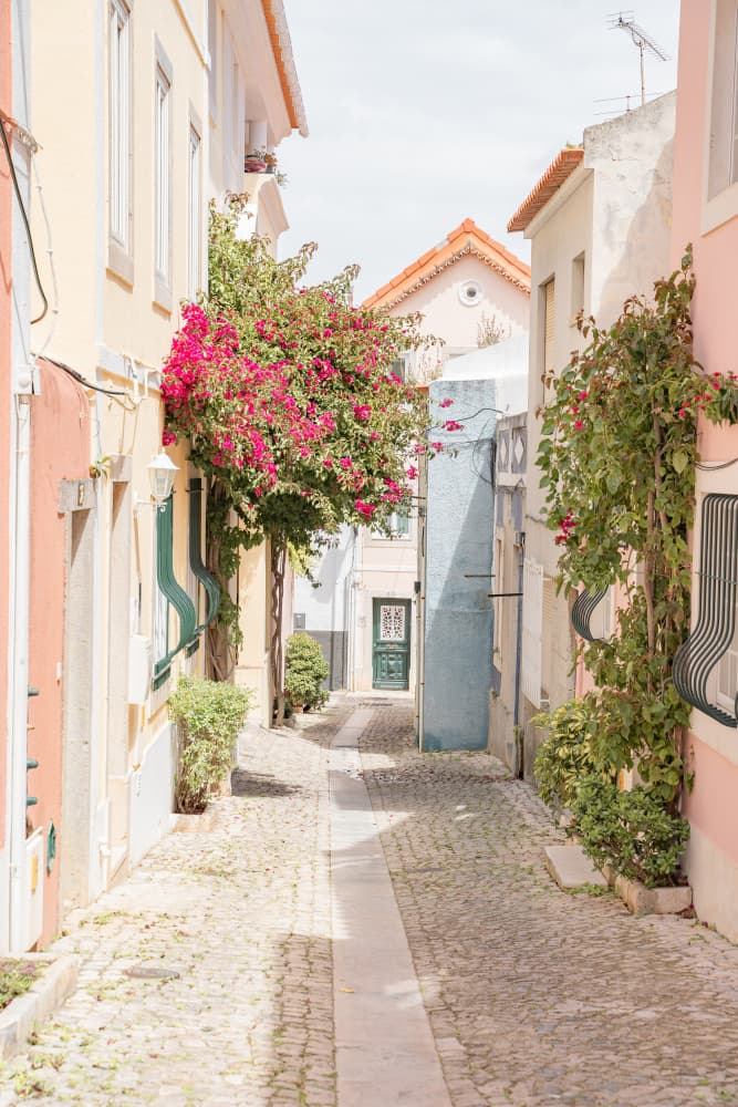 Flowered Village Street by Henrike Schenk — canvas wall art
