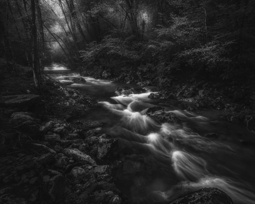 Ethereal Forest Stream by Thomas de Franzoni — canvas wall art