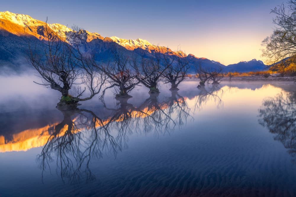 Misty Lake Golden Dawn by Jianping Yang — canvas wall art