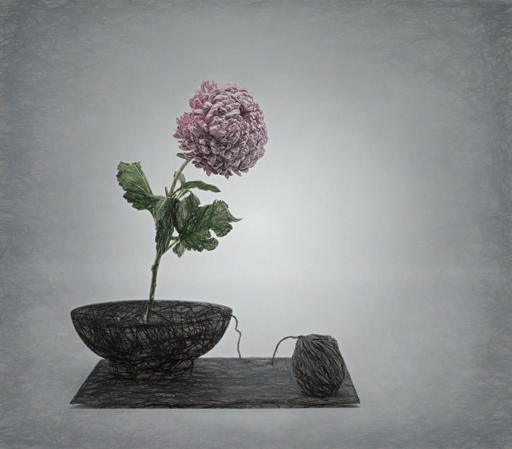 Textured Pink Flower Still Life by Saskia Dingemans — canvas wall art