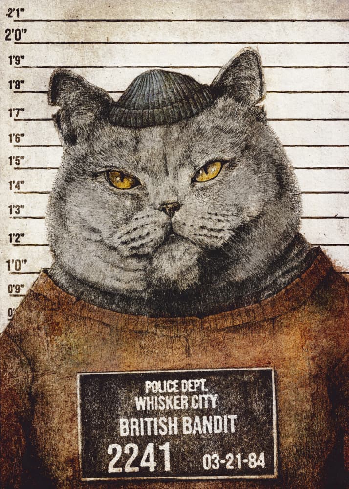 British Bandit by Mike Koubou — canvas wall art