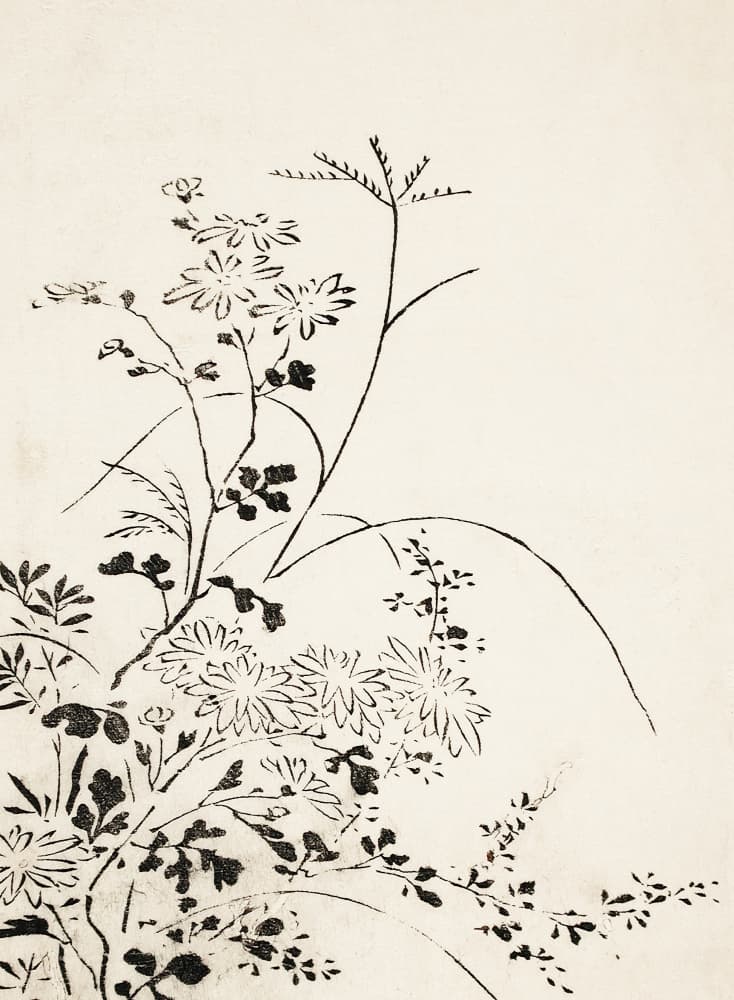 Autumn Flowers and Grasses (1762)