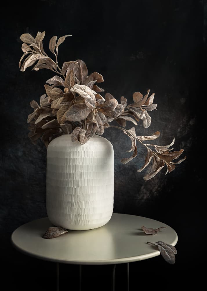 Quiet Botanical Still Life by Vadim Kulinsky — canvas wall art