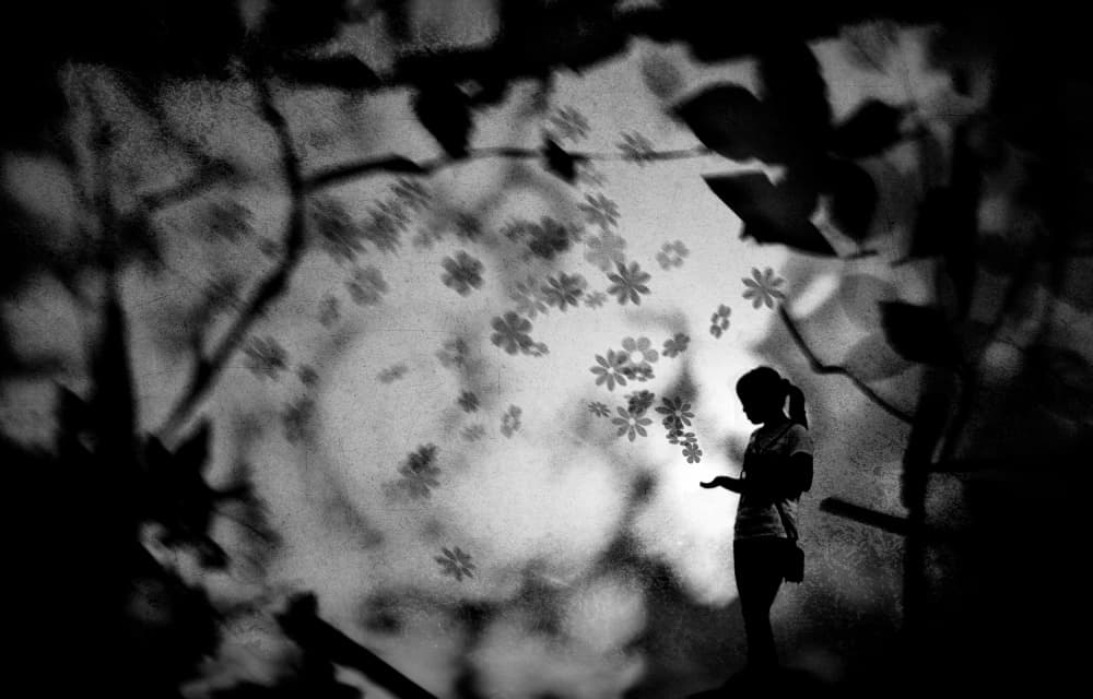 Dreamy Floral Silhouette by Keisuke Ikeda @ blackcoffee — canvas wall art