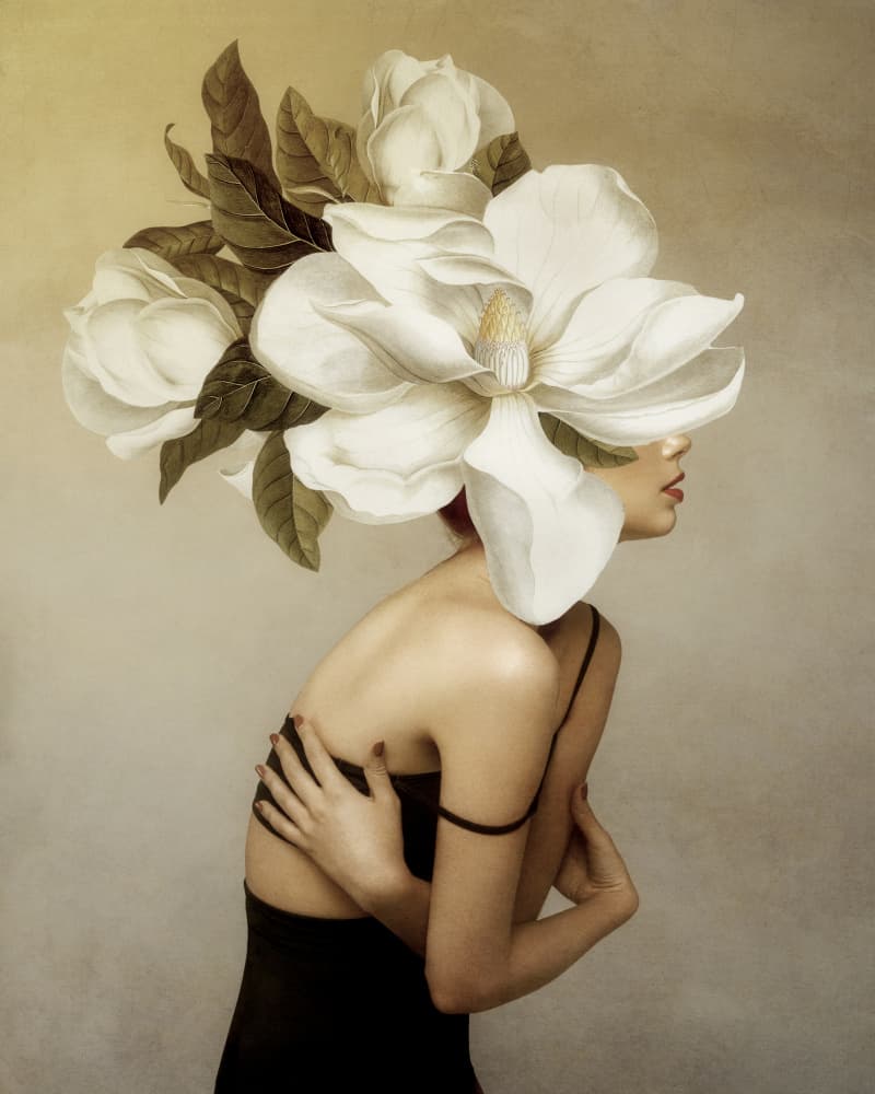 Elegant Magnolia Portrait by Marja van den Hurk — canvas wall art