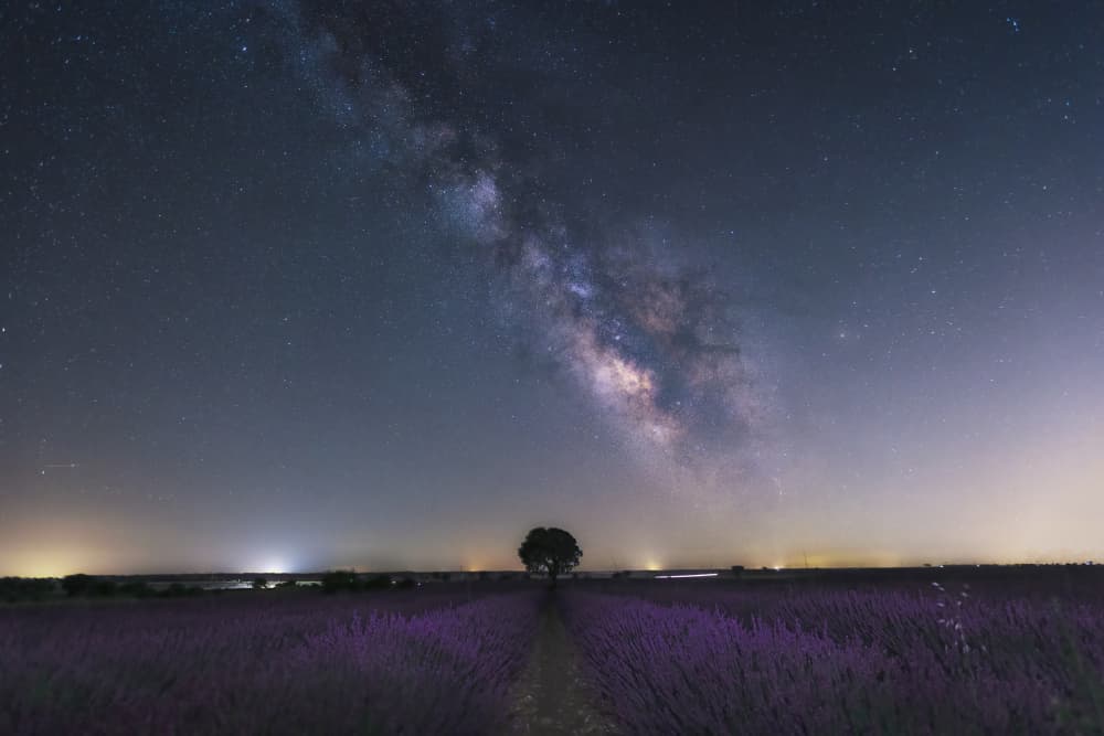Milky Way Lavender Field by Juan José — canvas wall art
