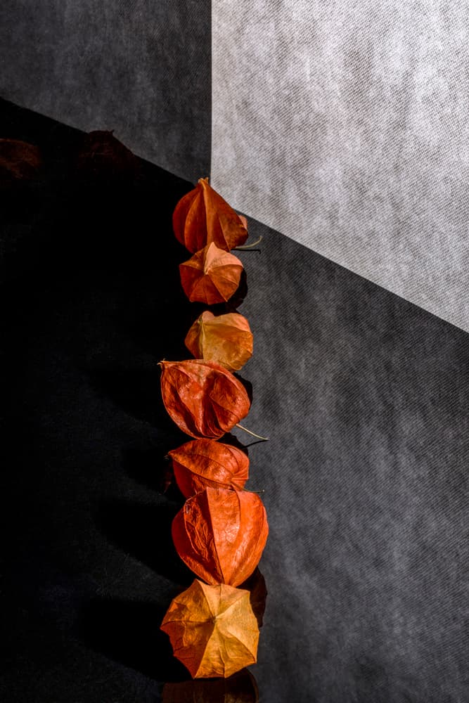 Orange Lantern Stack by Brig Barkow — canvas wall art