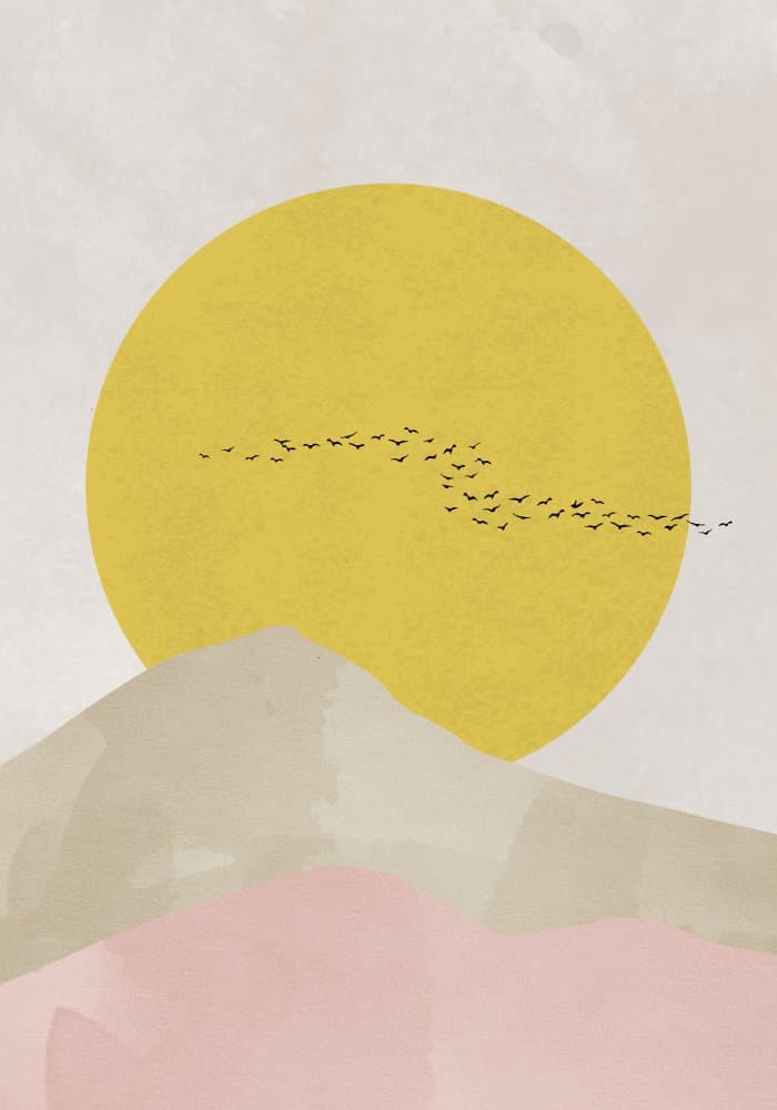 Serene Desert Sun Birds by Pictufy Studio II — canvas wall art