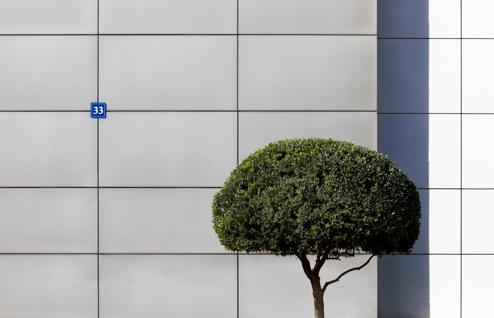 Green Topiary Modern Wall by Azriel Yakubovitch — canvas wall art