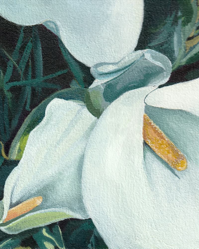 Elegant Calla Lilies by Viccy Wanliss — canvas wall art