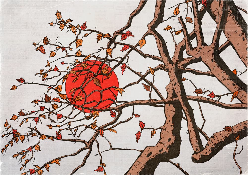 Autumn Sun Branches by Nicholas — canvas wall art