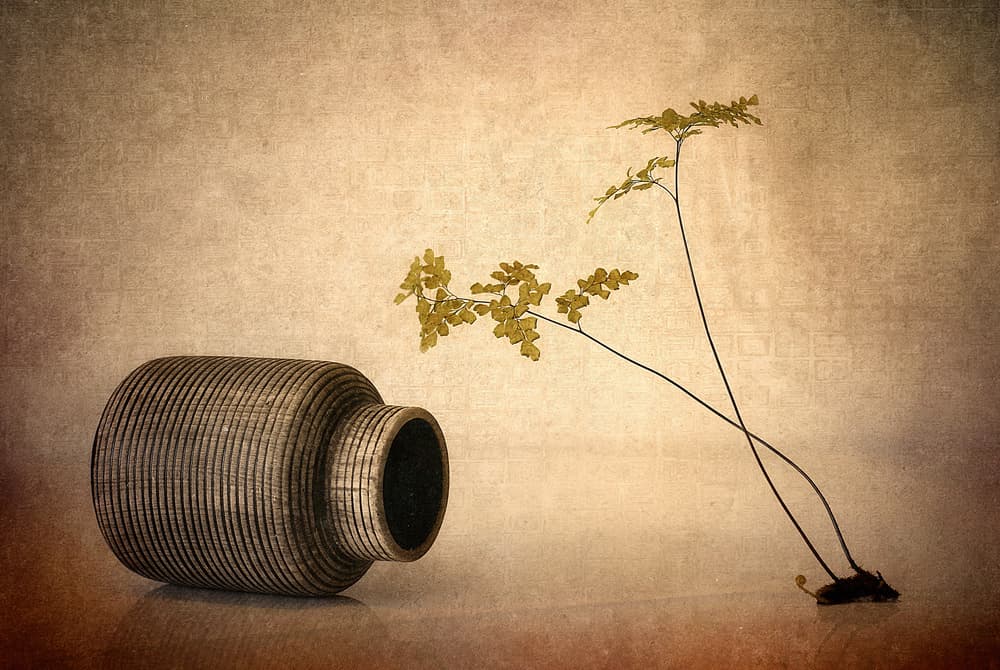 Earthy Vase and Fern by Elena Arjona — canvas wall art