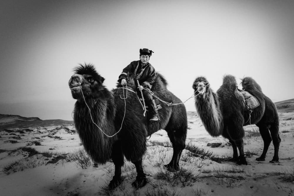 Winter Desert Journey by ADIREK M — canvas wall art