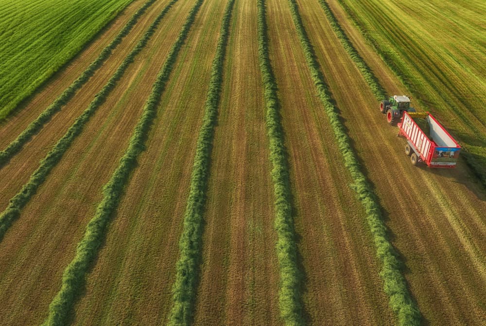 Hay Field Harvest by Guy Krier — canvas wall art