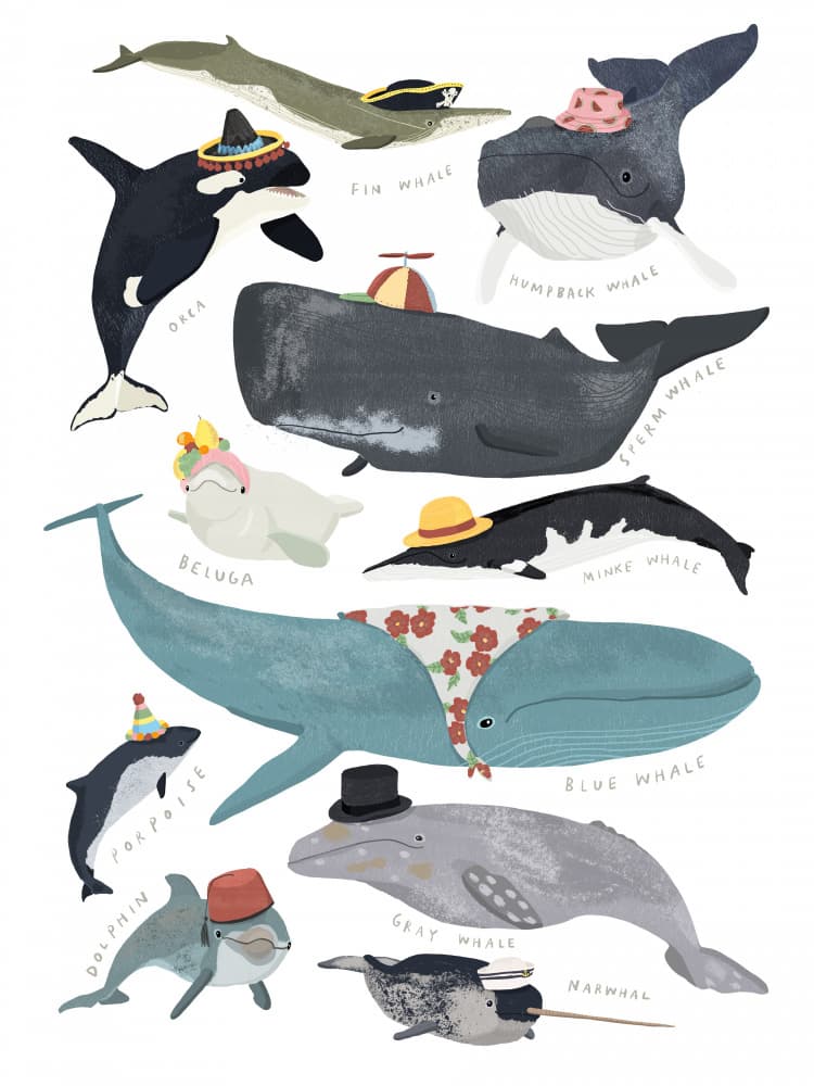Whales With Hats by Hanna Melin — canvas wall art